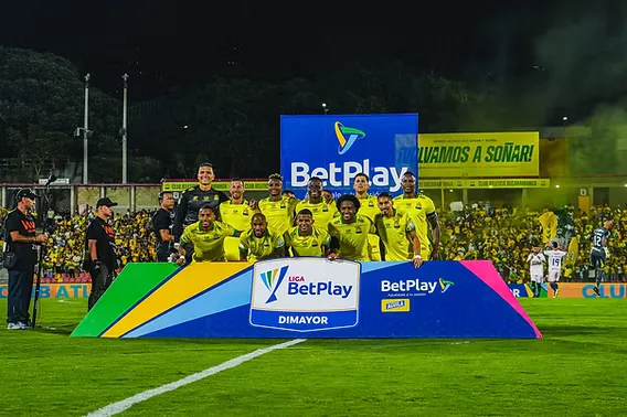 c41941 1d148f98b0ae486b96b7f514d0f9e1cfmv2 web